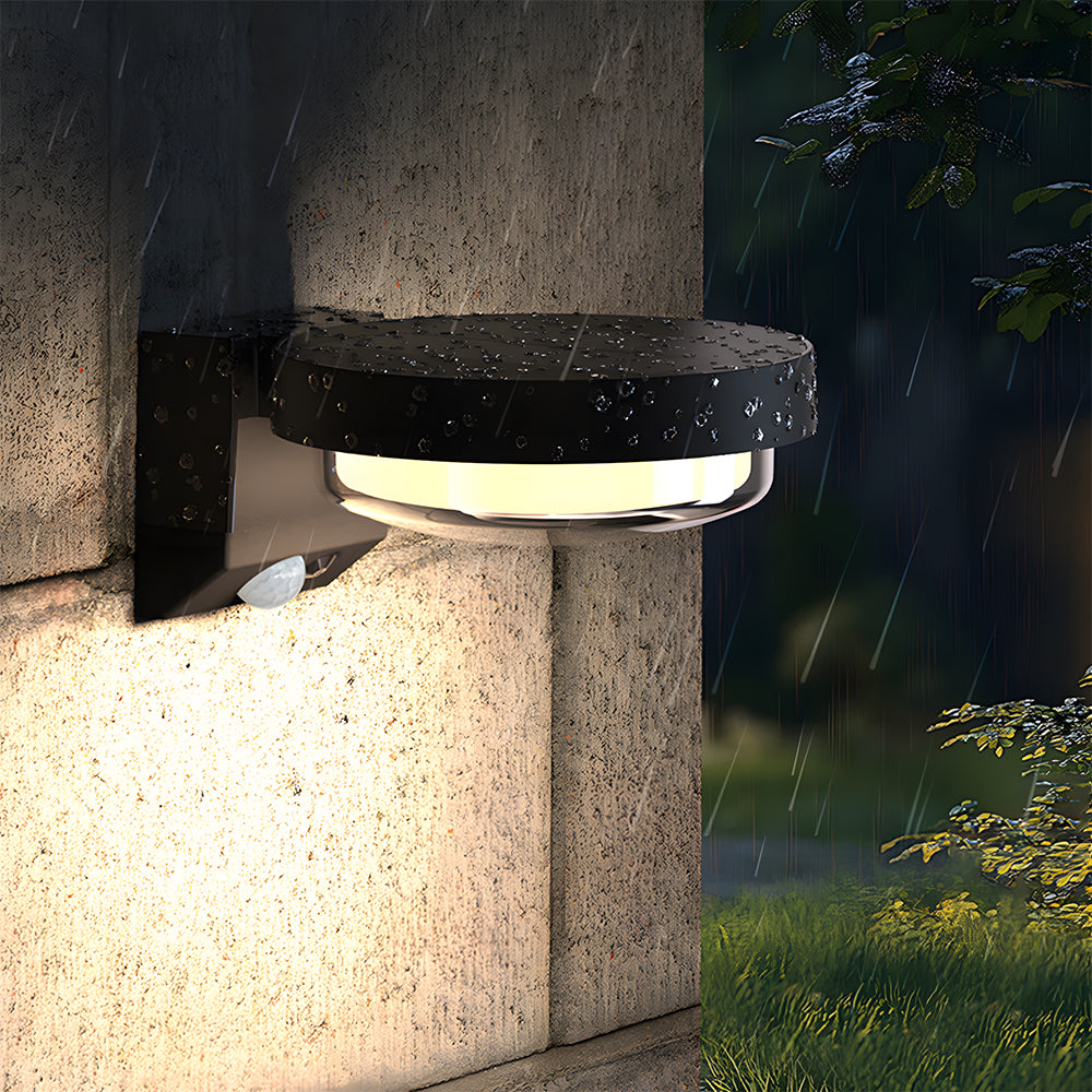 IP65 Solar Outdoor Black LED Lights