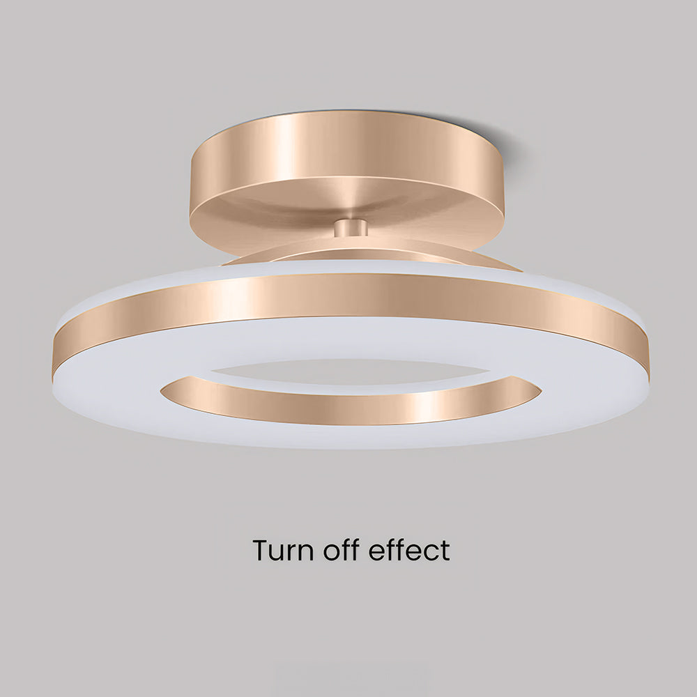 Modern Iron Hallway LED Ceiling Light