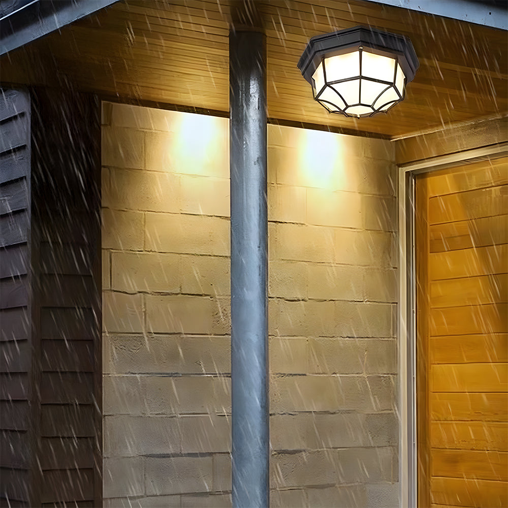 IP65 Outdoor Rustic Ceiling Light Suitable for both wall and ceiling mounting