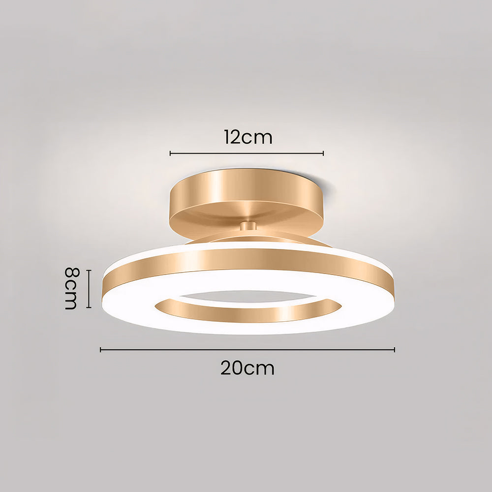 Modern Iron Hallway LED Ceiling Light