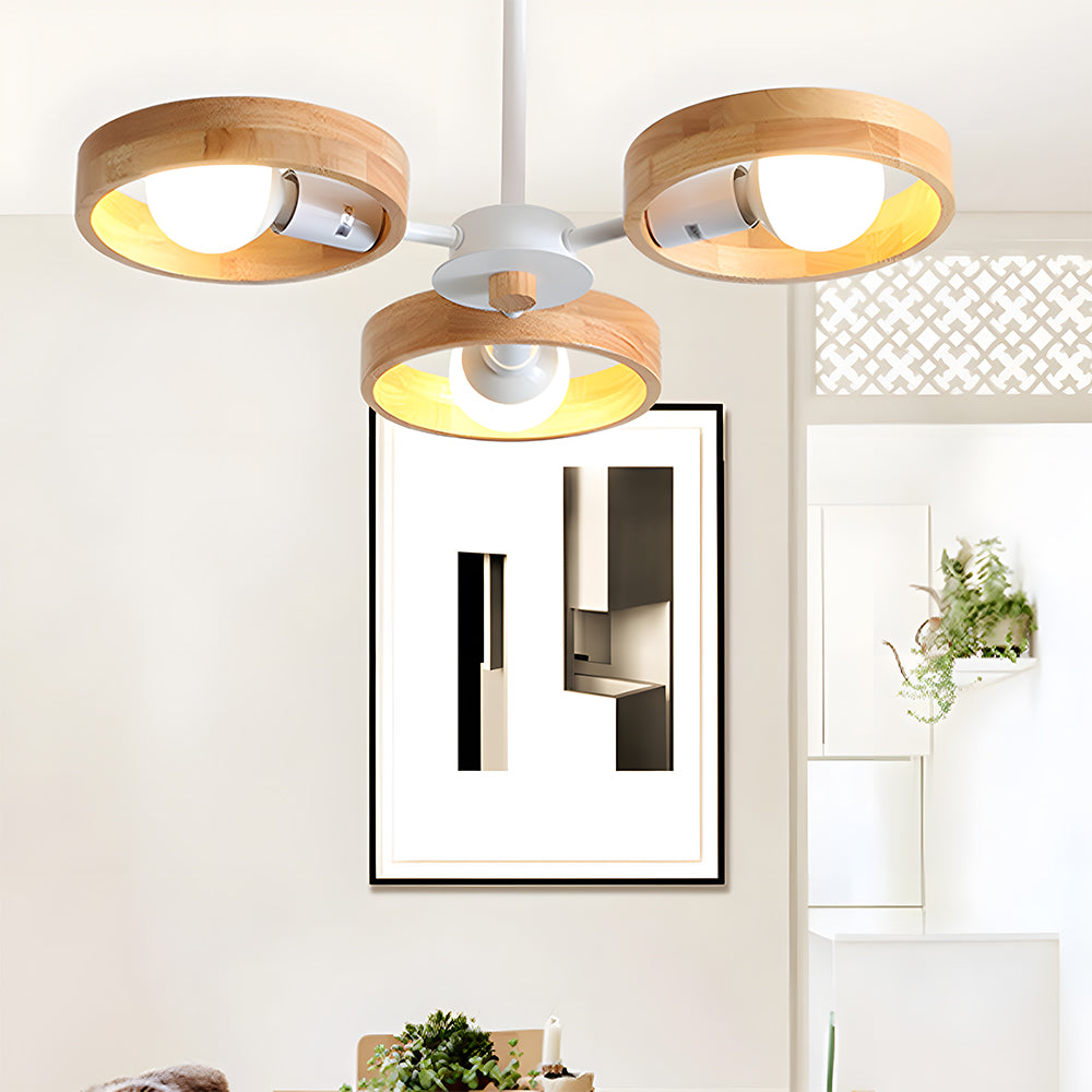 Modern Eco-friendly Ceiling Lamp For Living Room