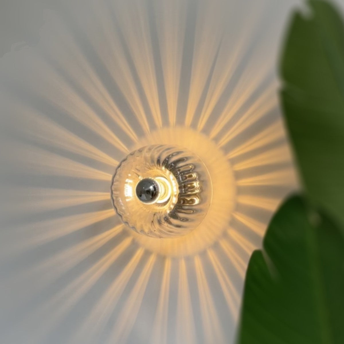 Contemporary Mini Clear Glass Wall Light