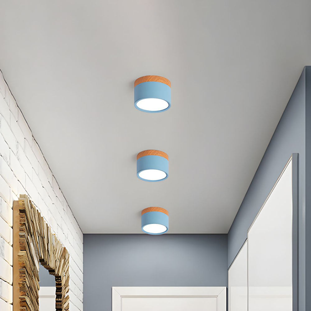 Cylinder Small Flush Ceiling Lights