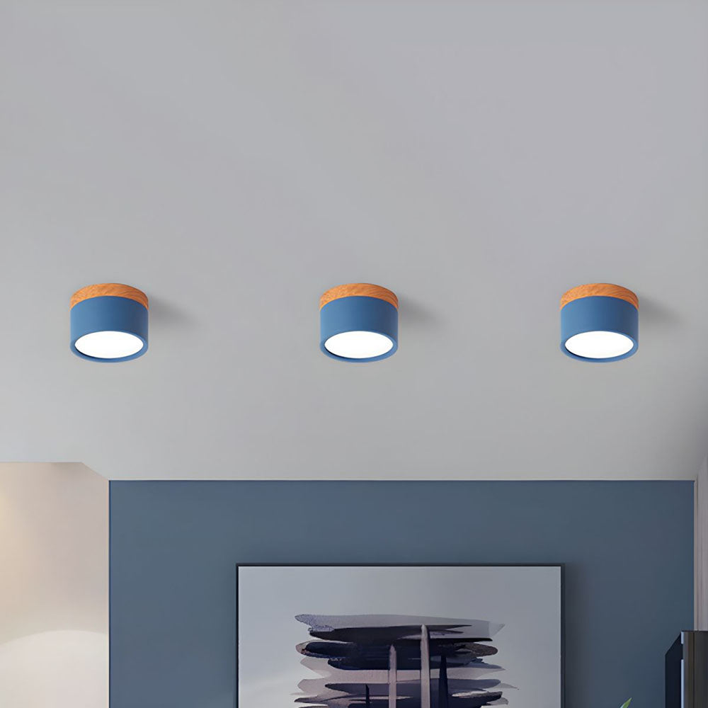 Cylinder Small Flush Ceiling Lights