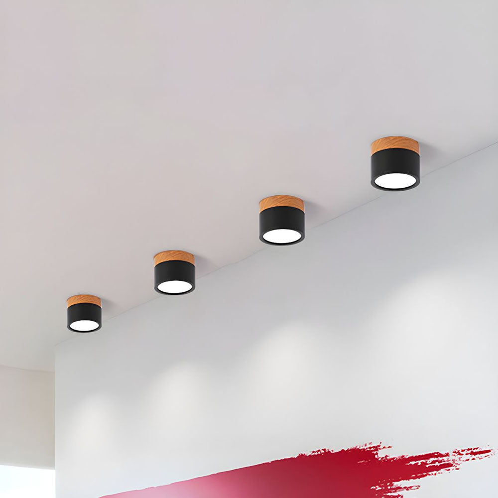 Cylinder Small Flush Ceiling Lights