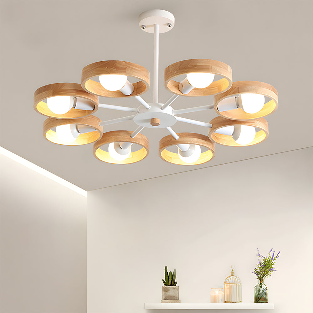 Modern Eco-friendly Ceiling Lamp For Living Room