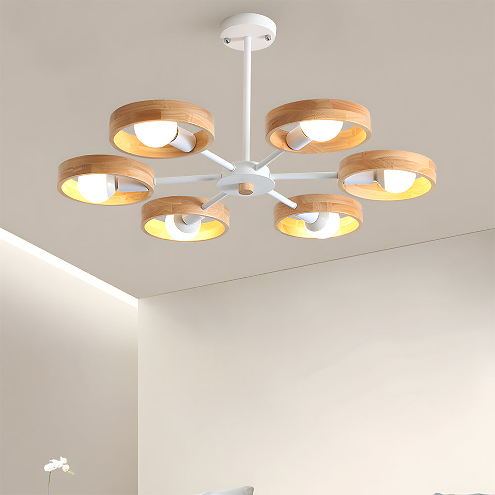 Modern Eco-friendly Ceiling Lamp For Living Room