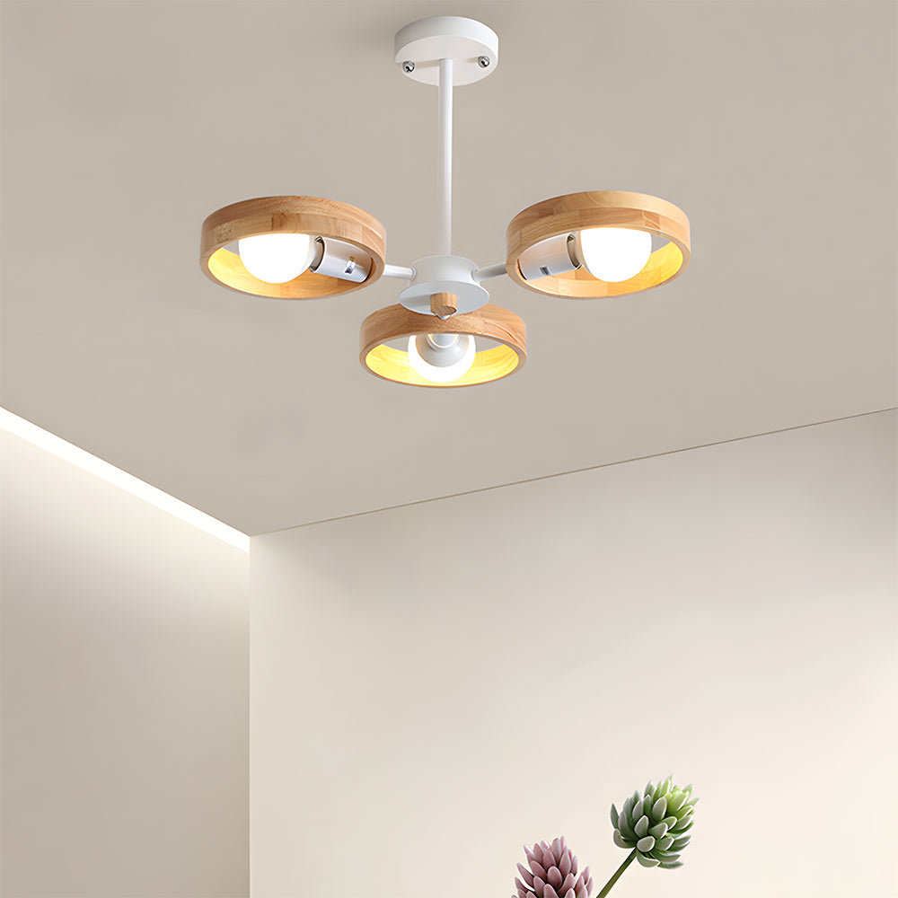 Modern Eco-friendly Ceiling Lamp For Living Room