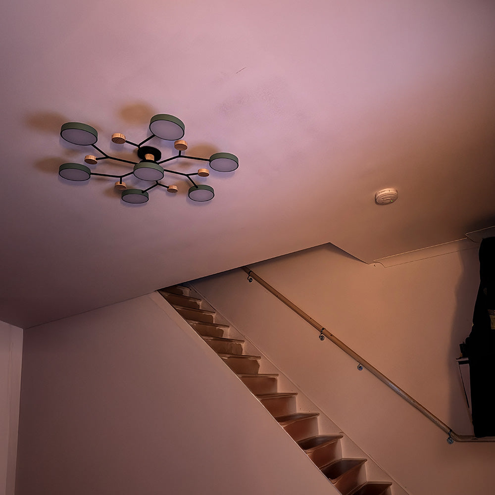 Green chandelier ceiling light living room led ceiling lights