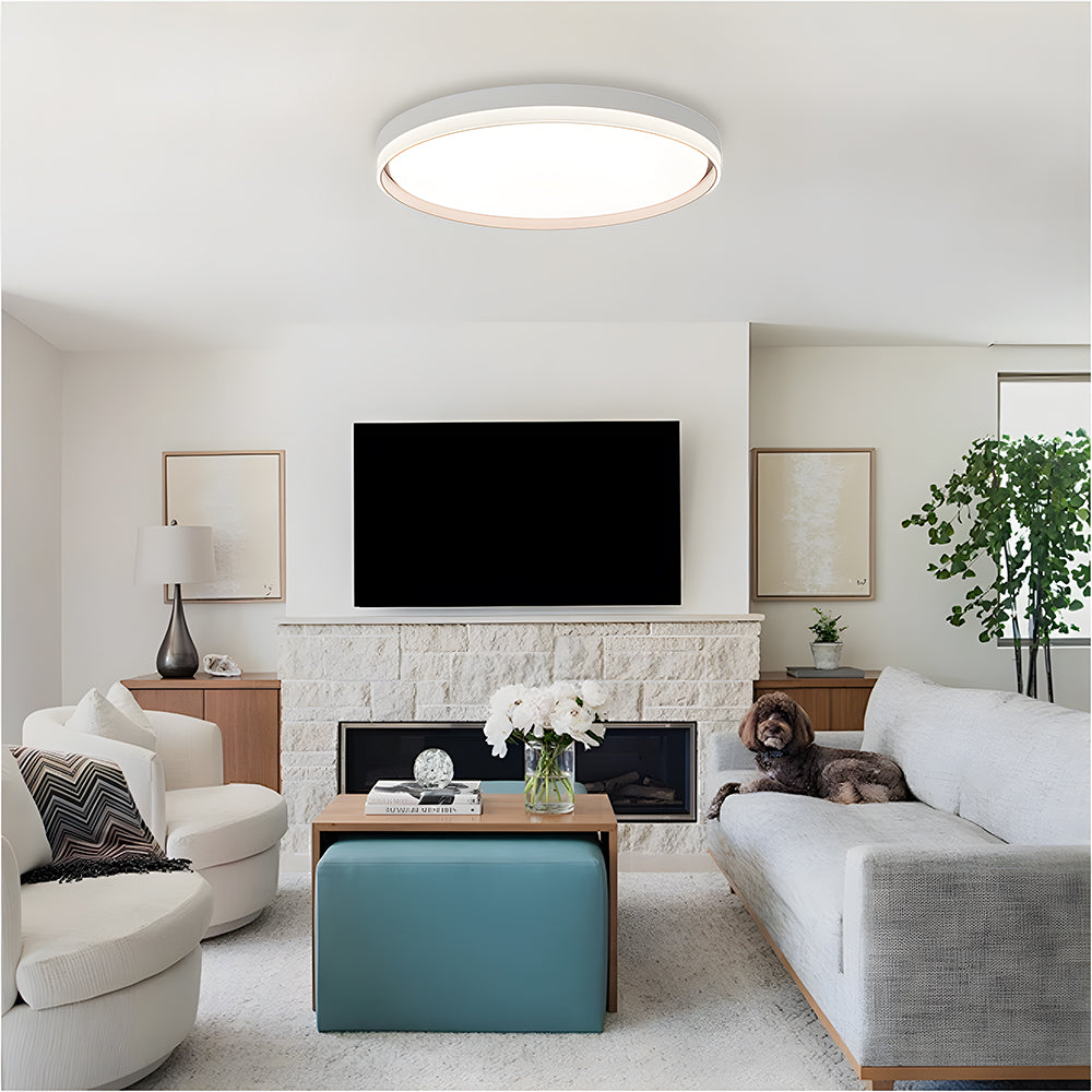 Modern living room with a ceiling light fixture, TV, and decorative elements.
