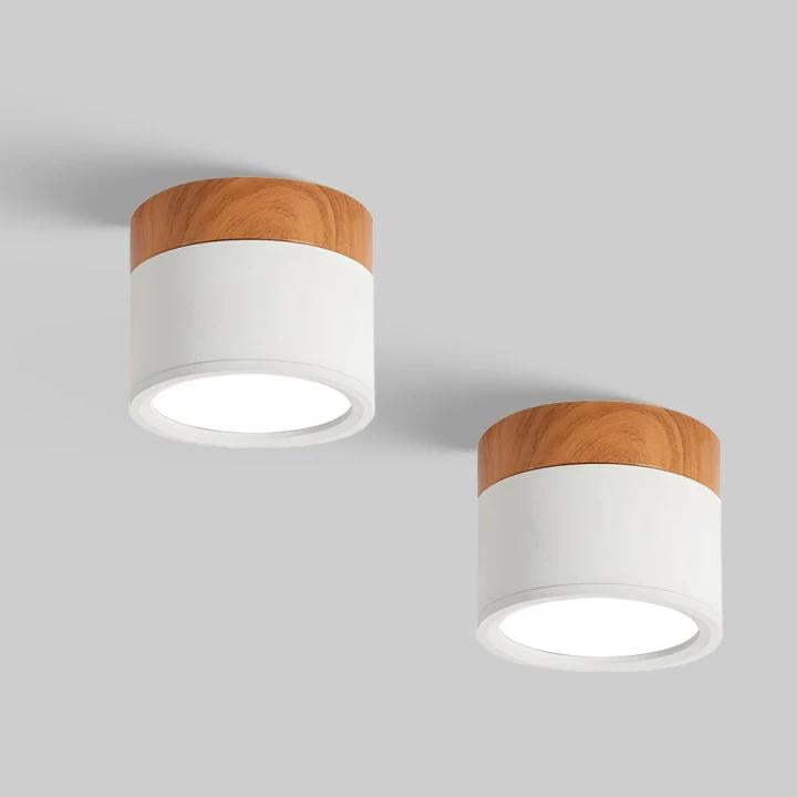 Set of 2 Small Flush Ceiling Lighting Macaron Finish Ceiling Lamp for hallway