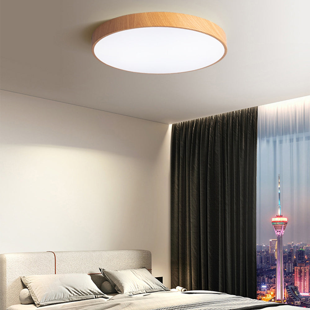 Modern Concise Style Wrought Iron Ceiling Light