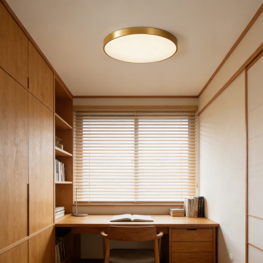 Circular Flush Mount LED Ceiling Lights