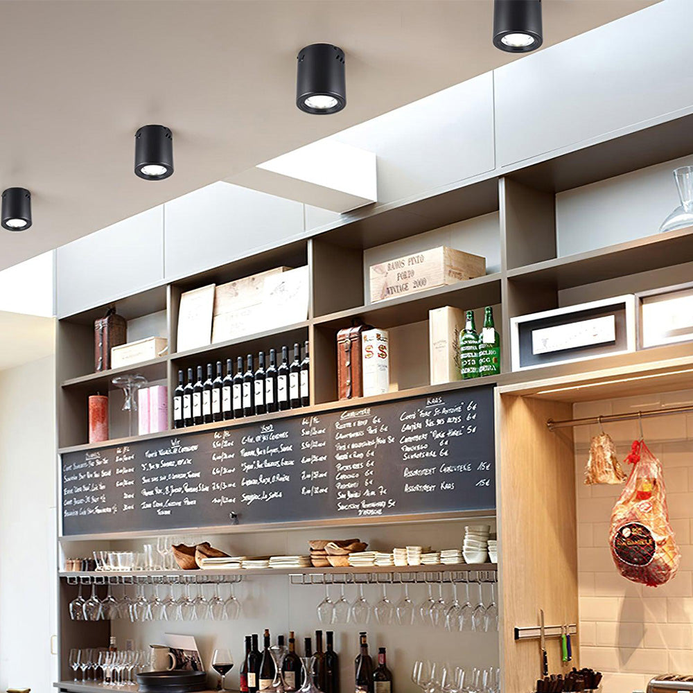 Contemporary Simple LED Round Ceiling Lights