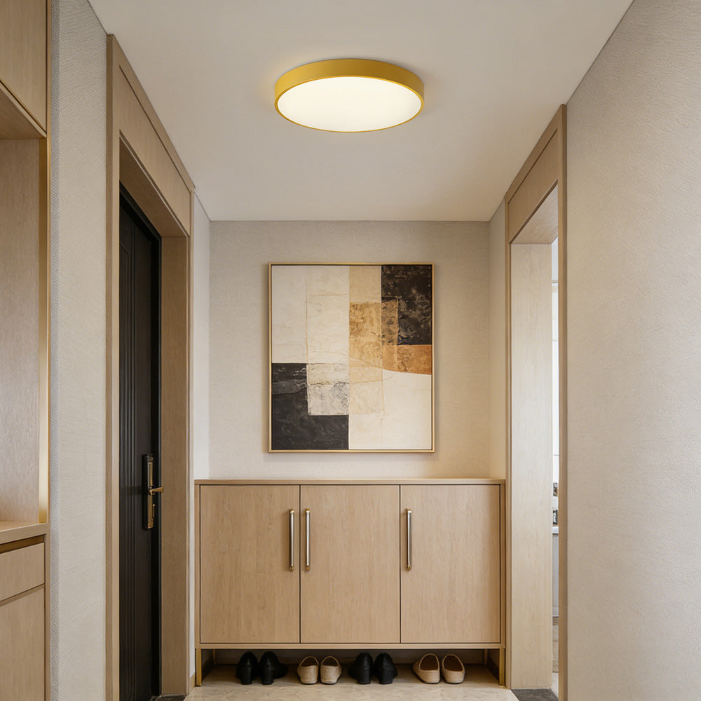 Circular Flush Mount LED Ceiling Lights