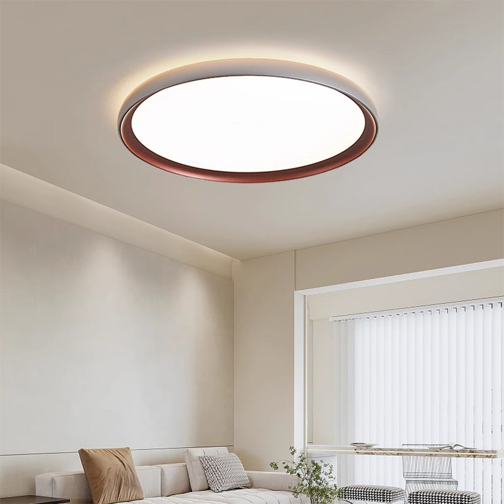 Minimalist Led Ceiling Light