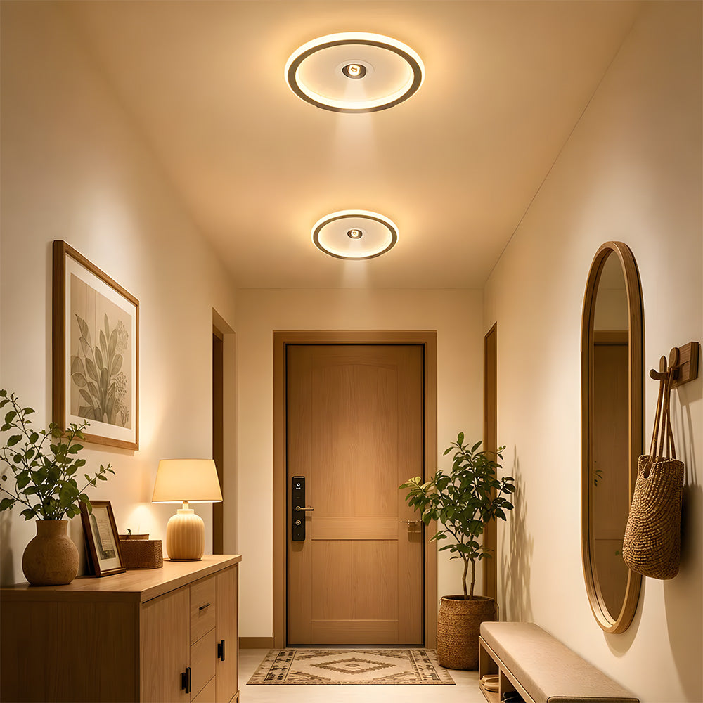 Modern Angle Adjustable Acrylic Iron LED Ceiling Lights for Living Room