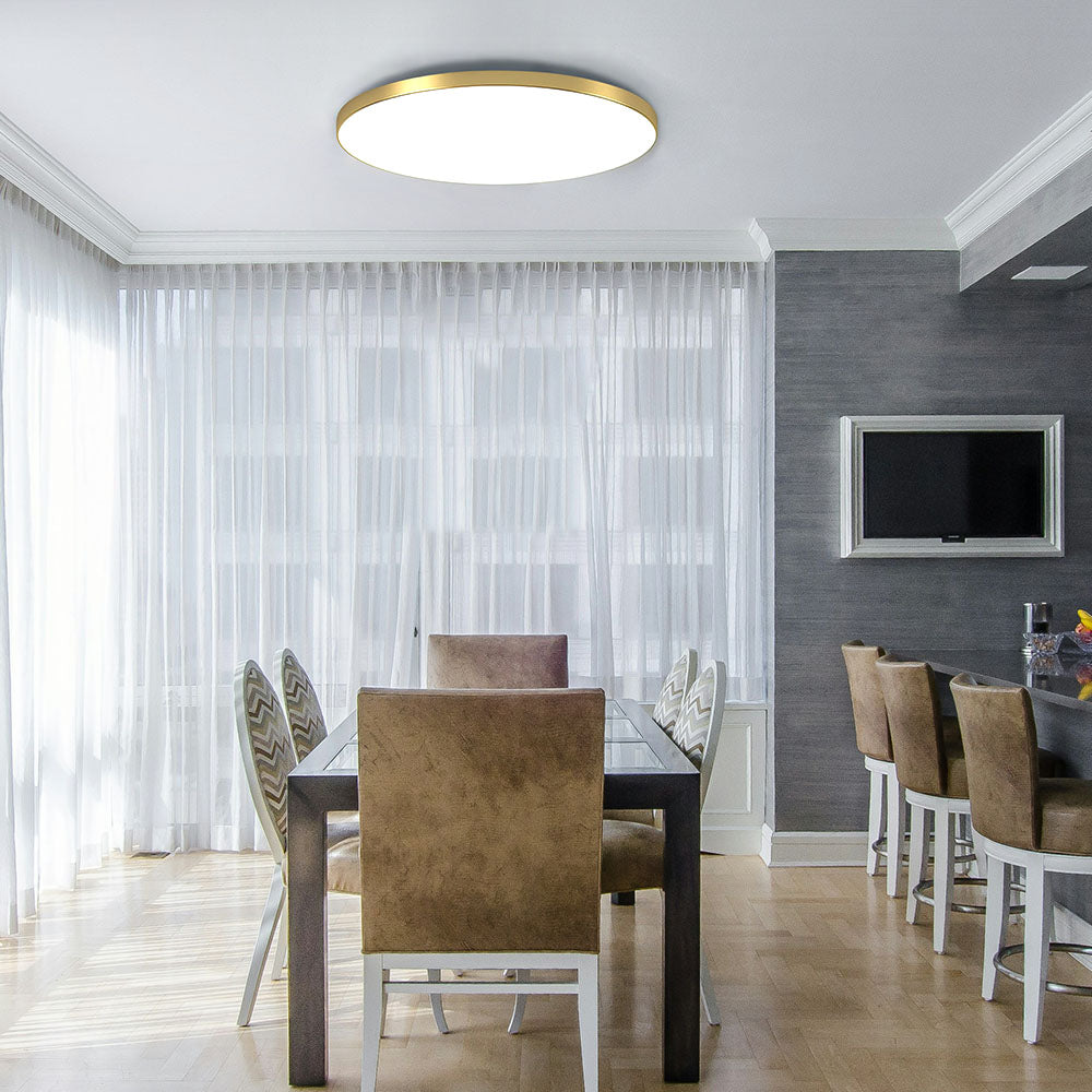 Modern Minimalism Energy-Saving Led Ceiling Lights for Living Room Bedroom