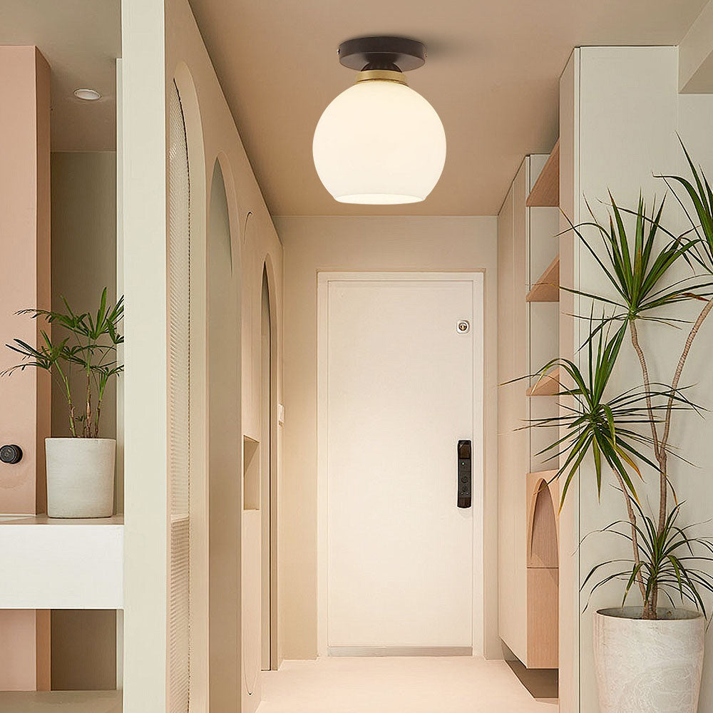 Modern Black Flush Globe Ceiling Light