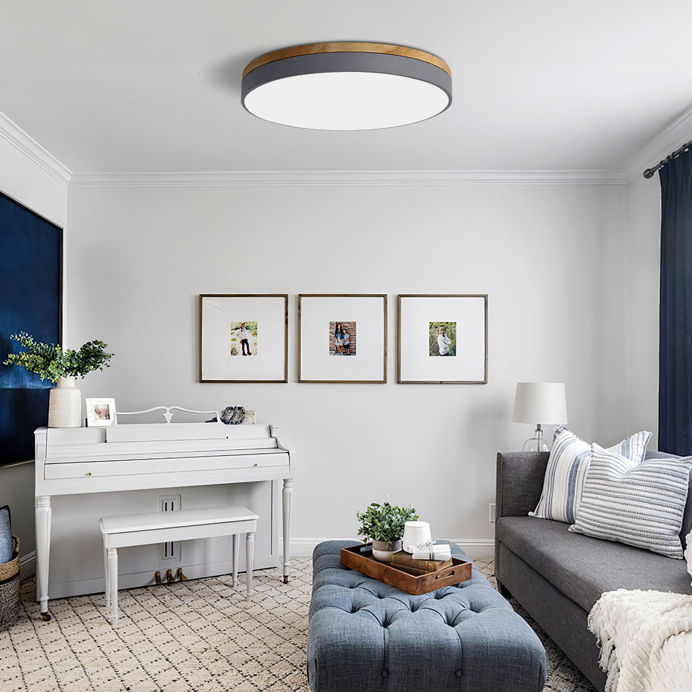 Living Room LED Ceiling Lights