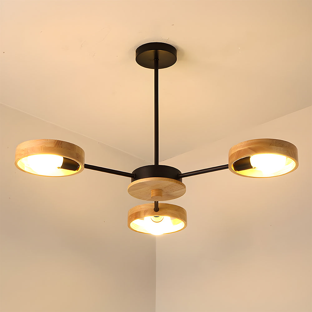 Modern Eco-friendly Ceiling Lamp For Living Room