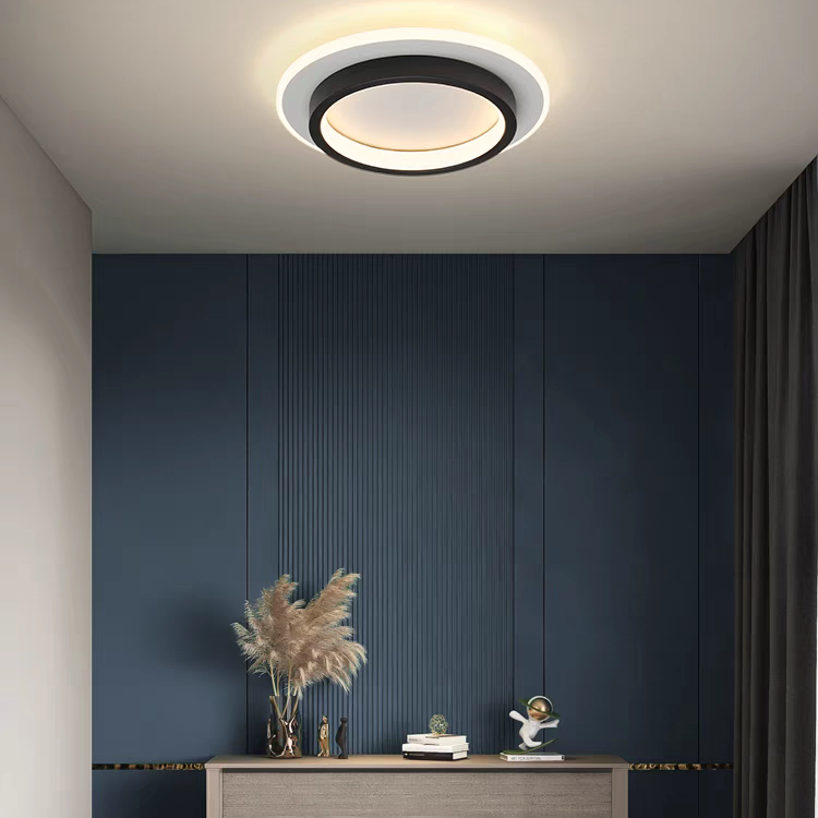 Acrylic LED Mini Ceiling Lights, black, 24cm, round, 3 Light Colors Changeable