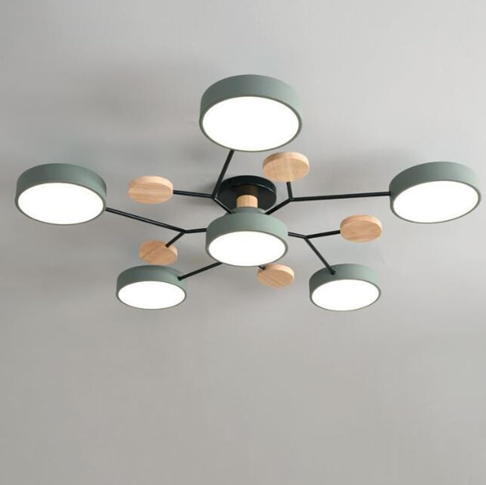 Modern Round Low Ceiling Light For Living Room