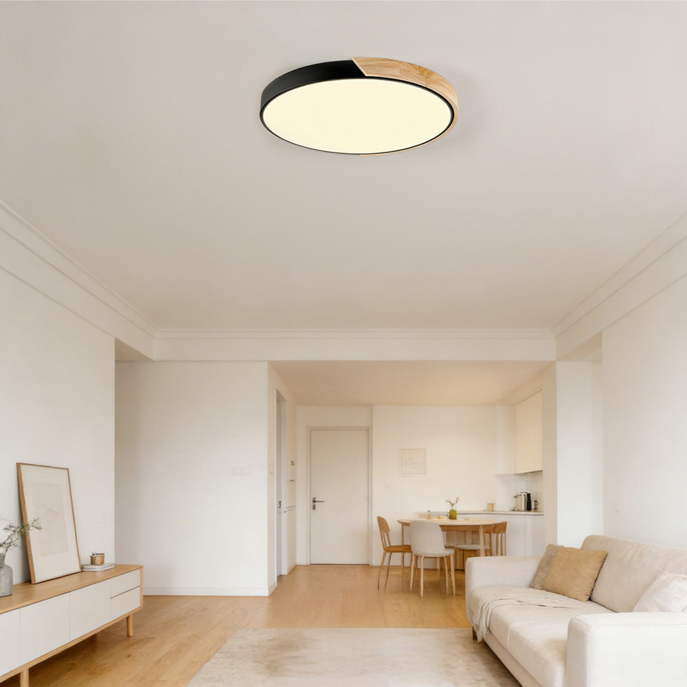 Colorful Simple LED Round Ceiling Lights