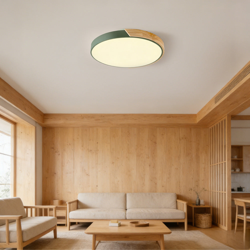 Colorful Simple LED Round Ceiling Lights