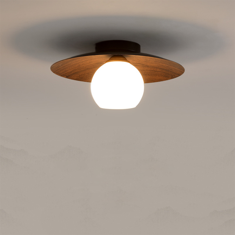 Modern Minimalist Entrance Ceiling Lights