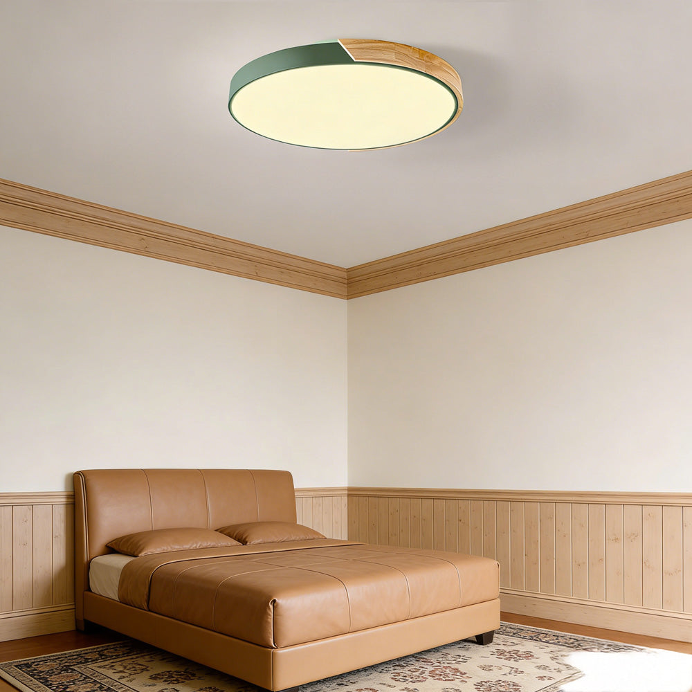 Colorful Simple LED Round Ceiling Lights