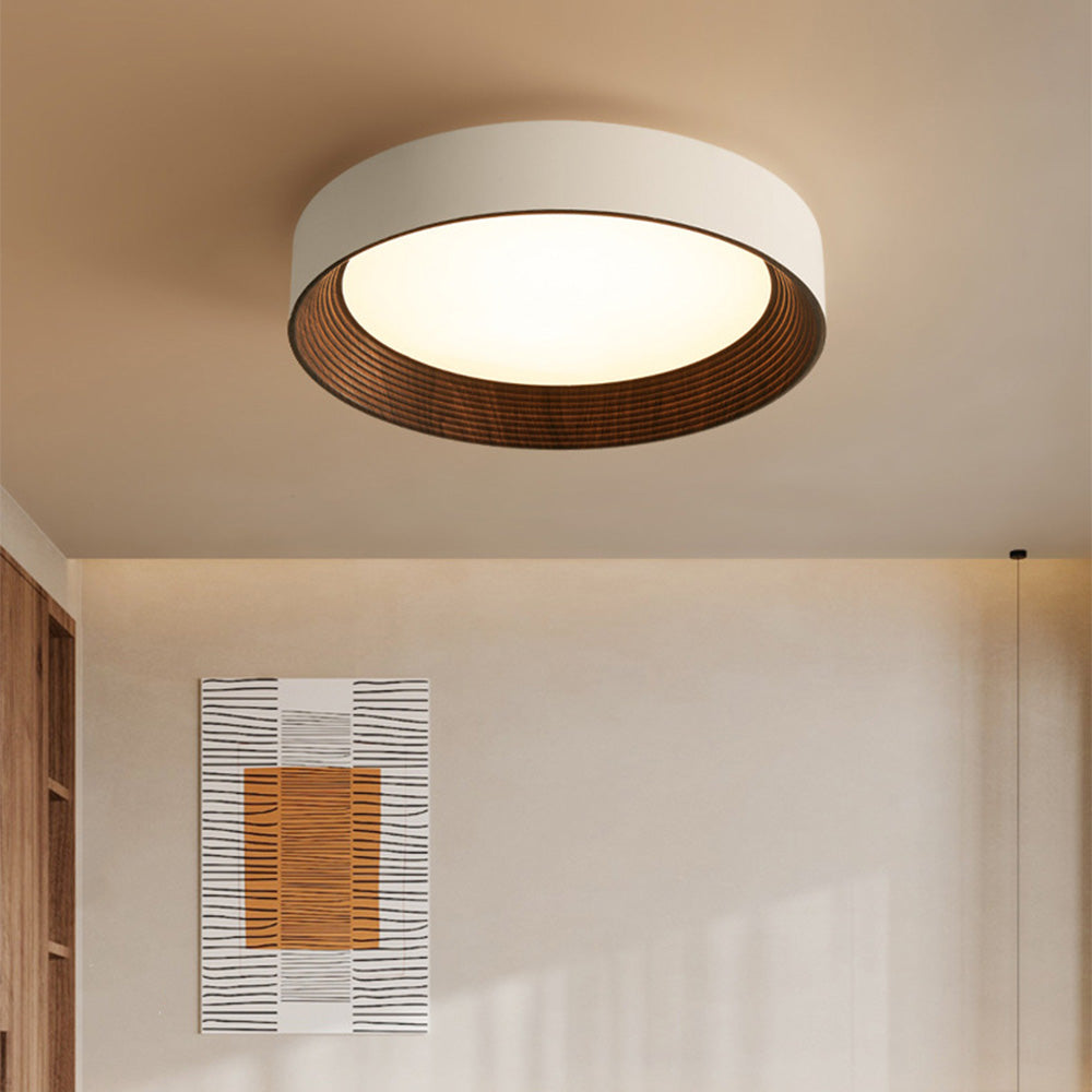 Modern Simple LED Ceiling Light