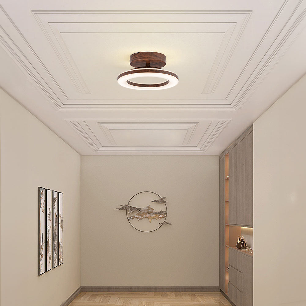 Contemporary LED Hallway Ceiling Light, 3 Light Colors Changeable, round, 20cm, brown