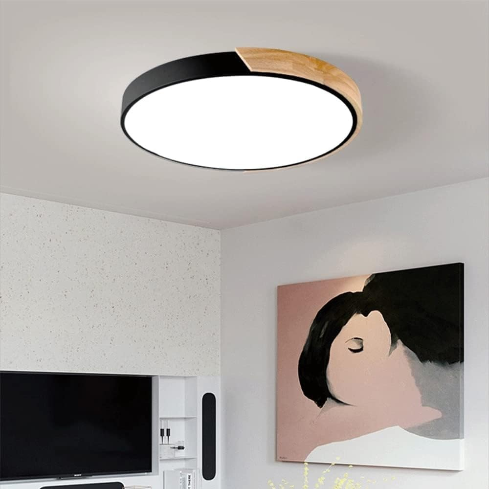 Modern Minimalist Round Flush LED Ceiling Lights