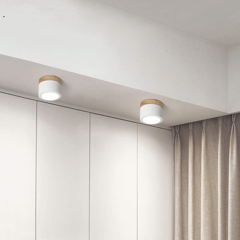 Cylinder Small Flush Ceiling Lights