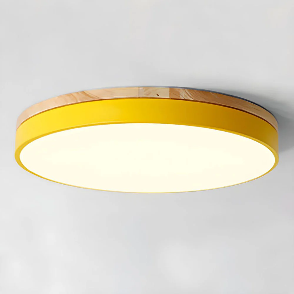 Living room modern led ceiling lights