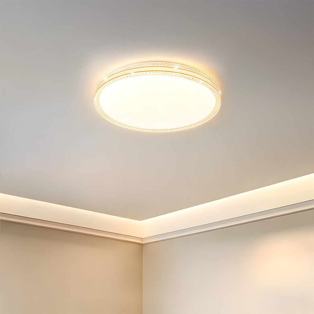 Minimalist Acrylic LED Ceiling Lights for Bedroom Living Room