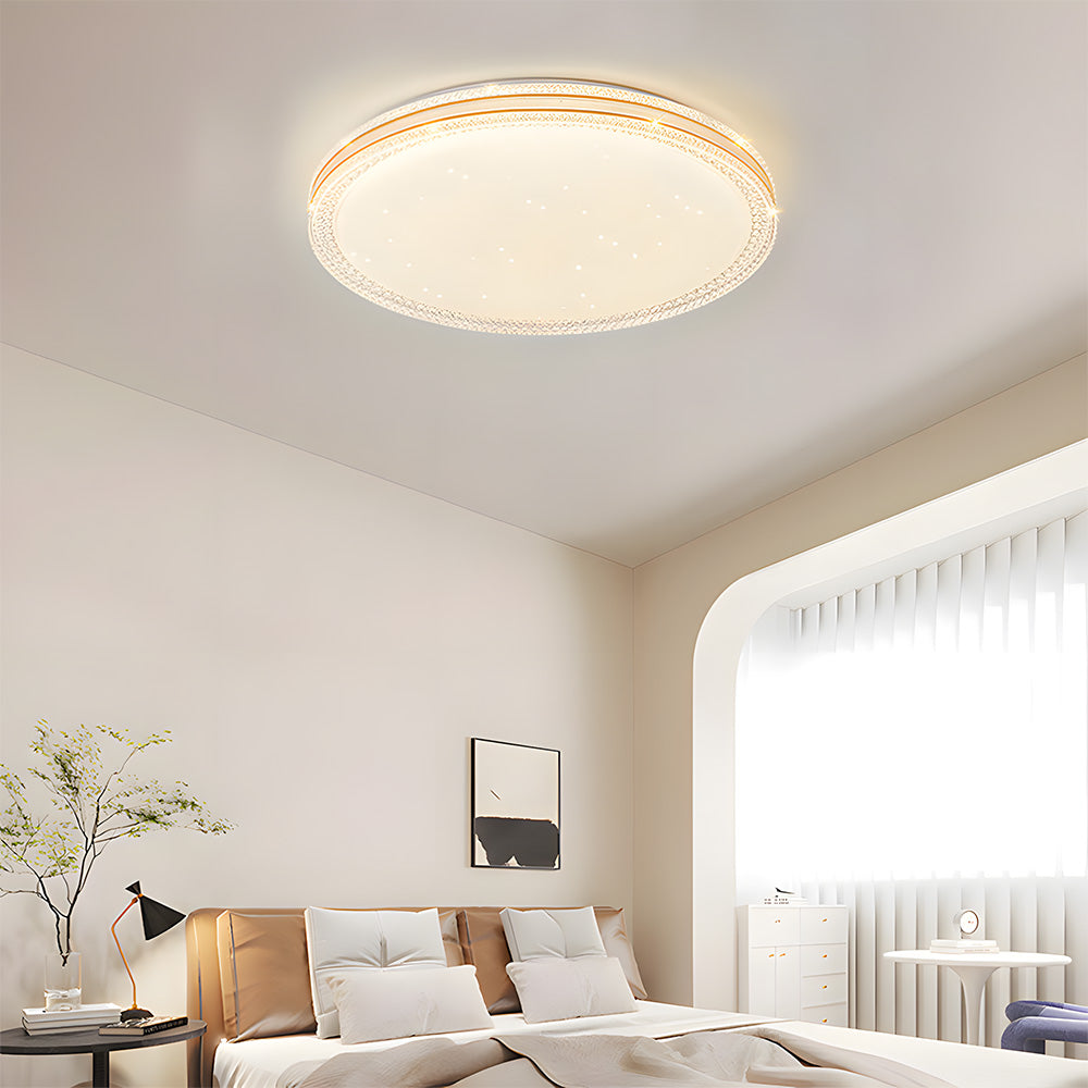 Minimalist Acrylic LED Ceiling Lights for Bedroom Living Room