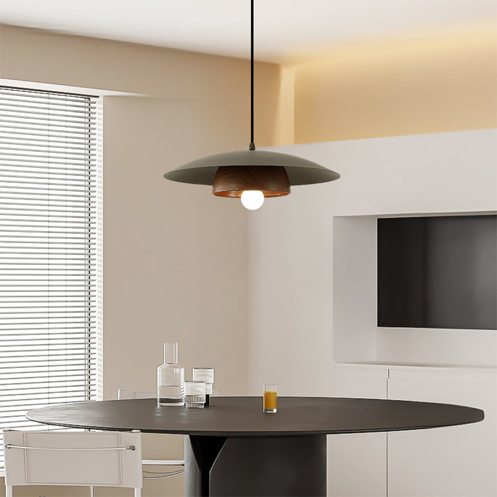 Modern Dome Designer Metal Pendant Light