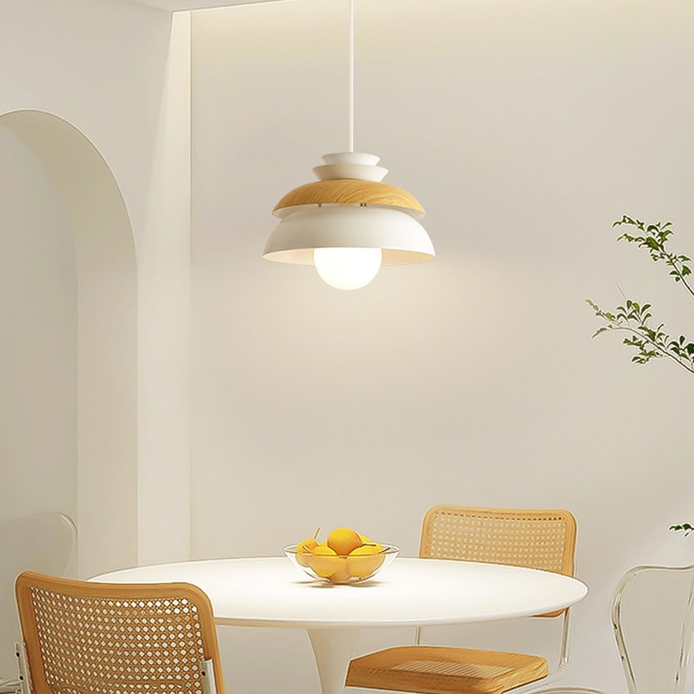 Modern Dome Designer Metal Pendant Light