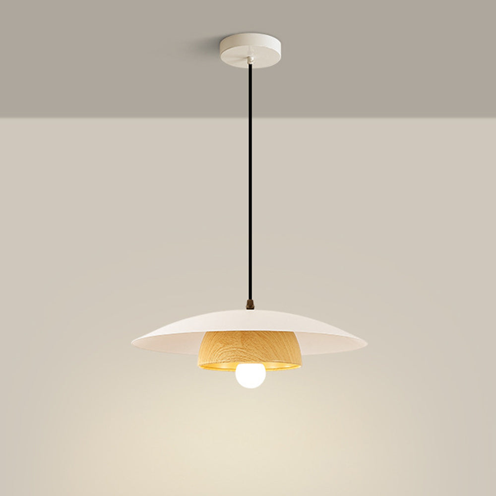 Modern Dome Designer Metal Pendant Light