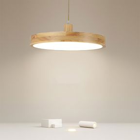Modern Living Room Wooden Ceiling Hanging Light