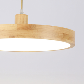 Modern Living Room Wooden Ceiling Hanging Light