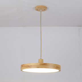 Modern Living Room Wooden Ceiling Hanging Light
