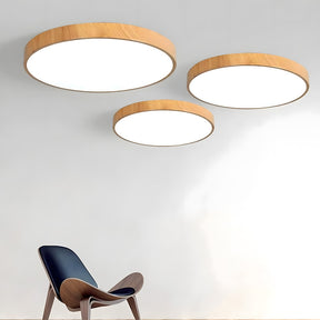 Modern Contemporary LED Lumianaire Wood Ceiling Light for Hallway Living Room
