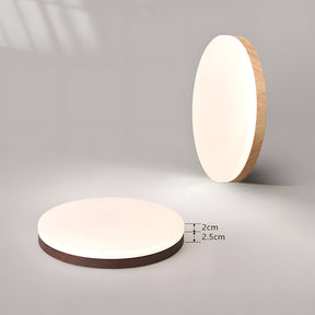 Modern Round LED Flush Ceiling Lights For Bedroom Living Room