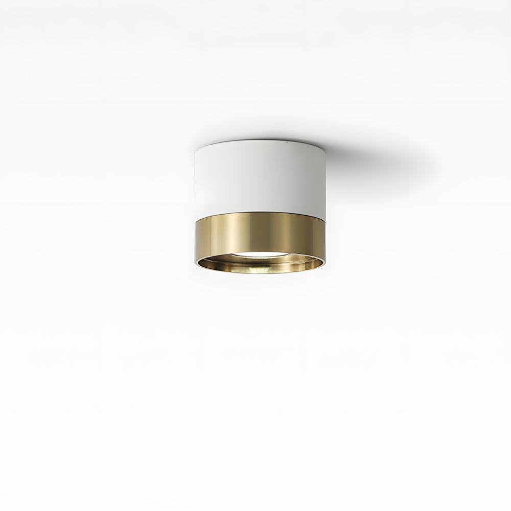 Small Led ceiling light for Hallway, D10cm