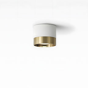 Small Led ceiling light for Hallway, D10cm