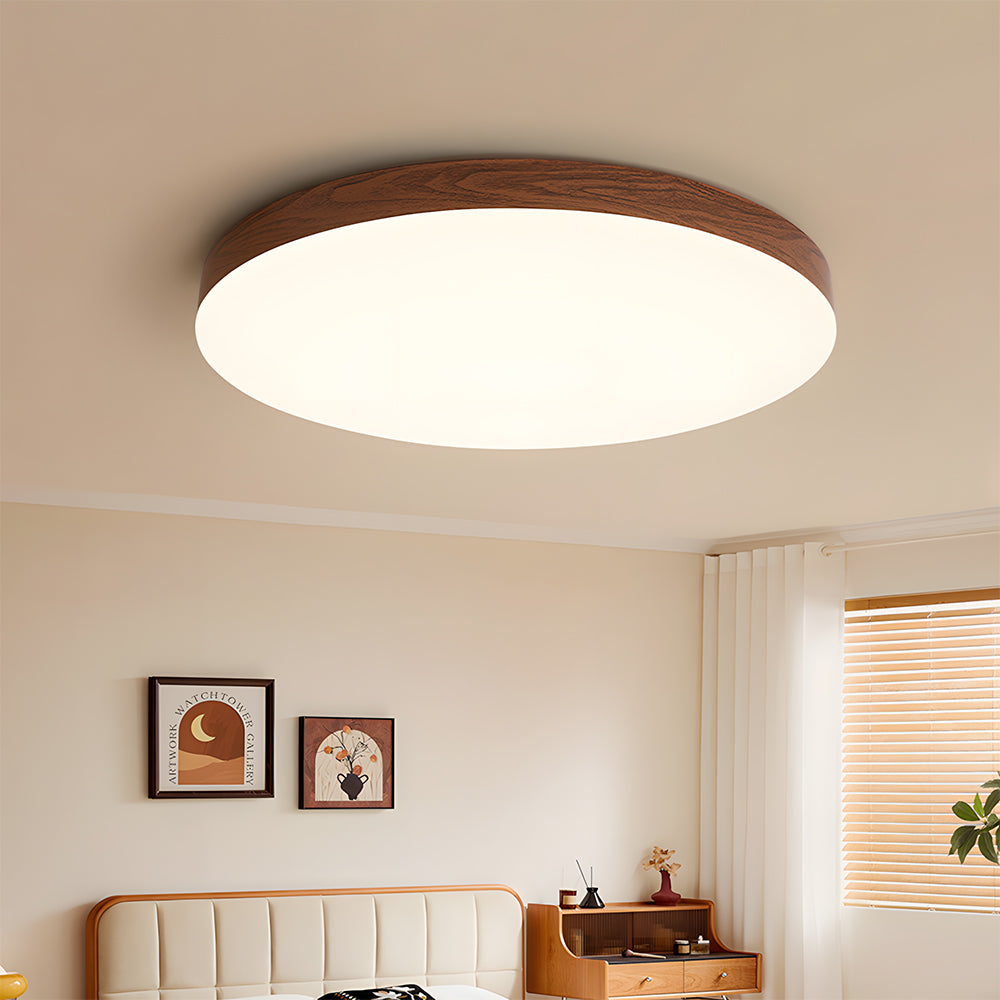 Close-to-Ceiling Lights Round LED Ceiling Lamp