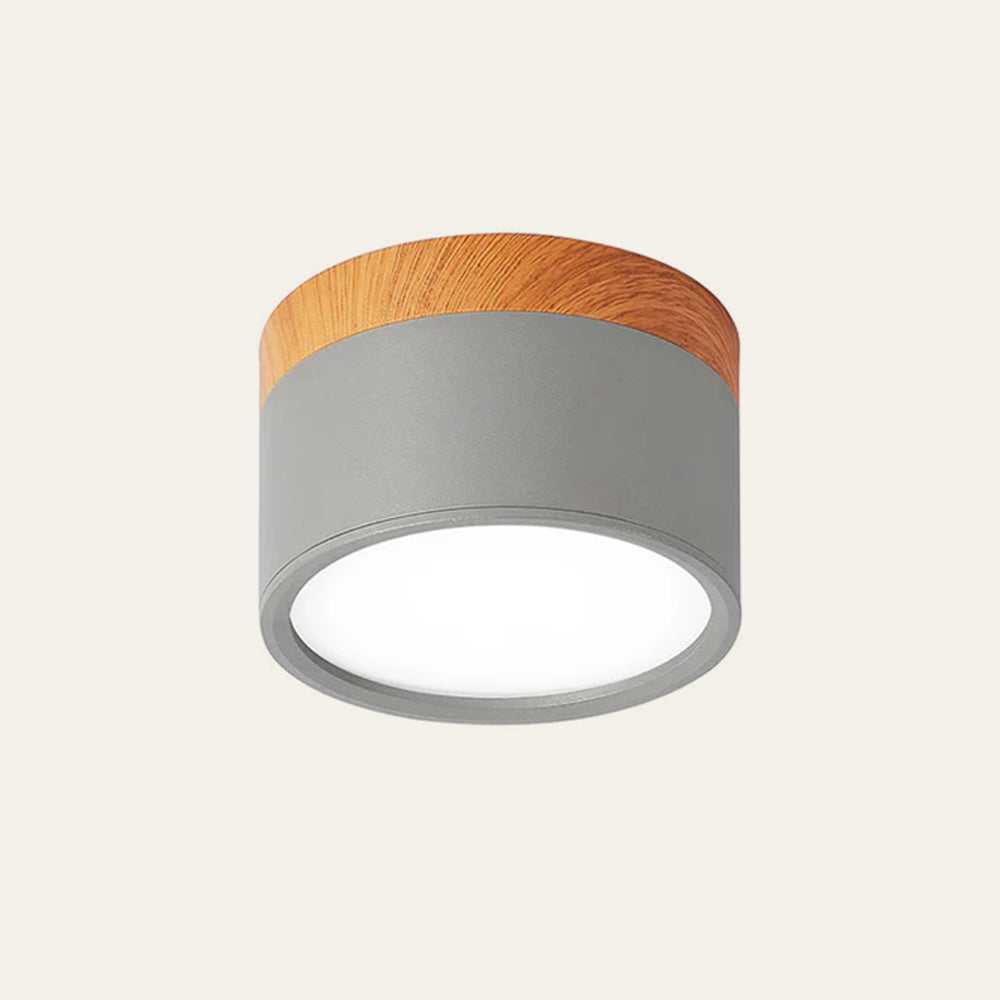 Cylinder Small Flush Ceiling Lights